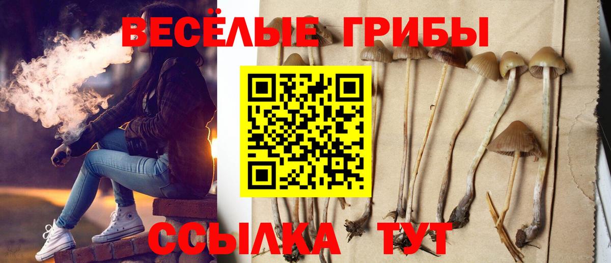 Псилоцибиновые грибы мухоморы  Вход с VPN  Ногинск 